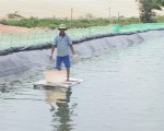 Quy phạm thực hành nuôi trồng thủy sản tốt (VietGAP)