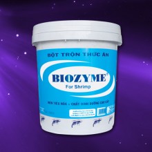 Biozyme bổ sung vi sinh vật có lợi đường ruột
